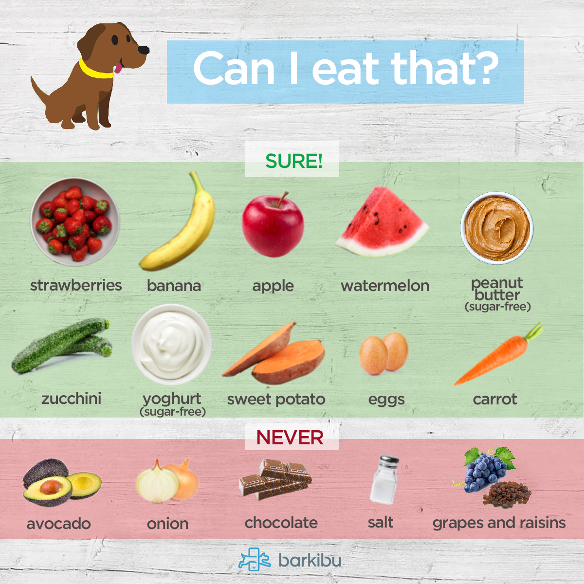 Can Dogs Eat This? Foods You Can And Can't Share With Your Dog Dog ...