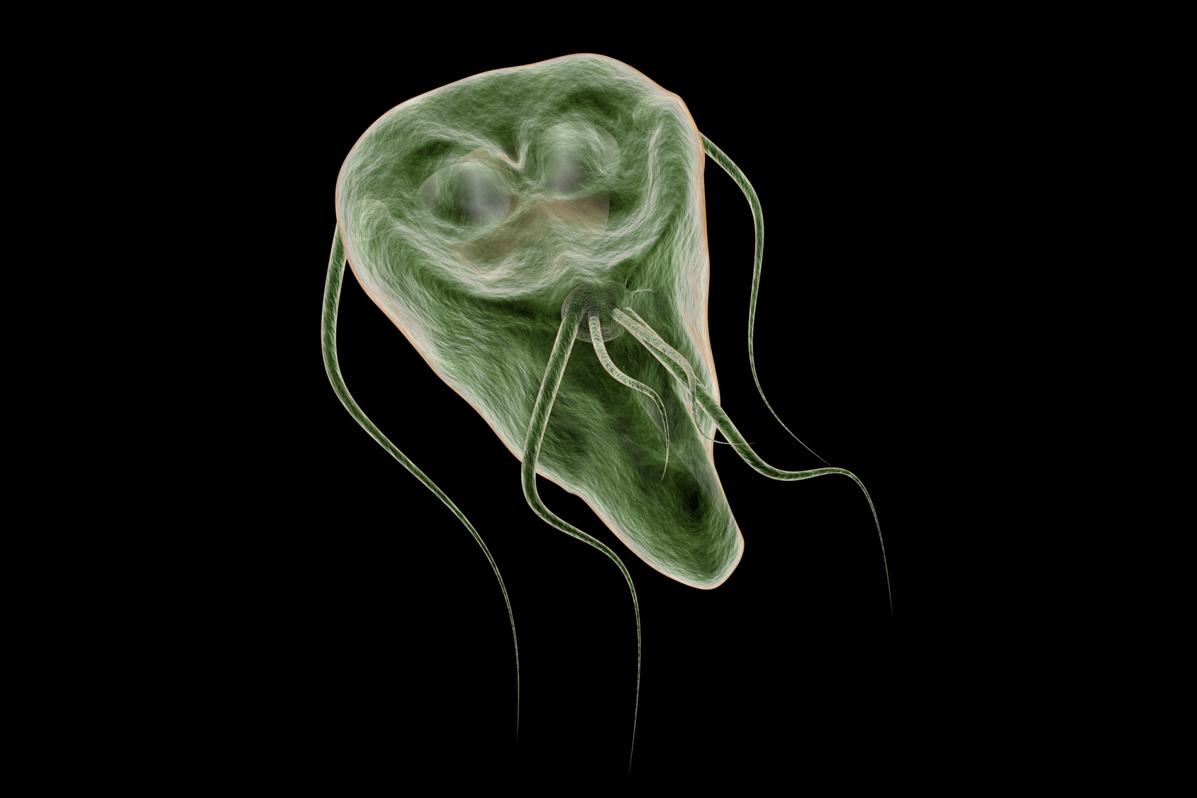 is giardia difficult to get rid of)