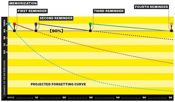SRS forgetting curve