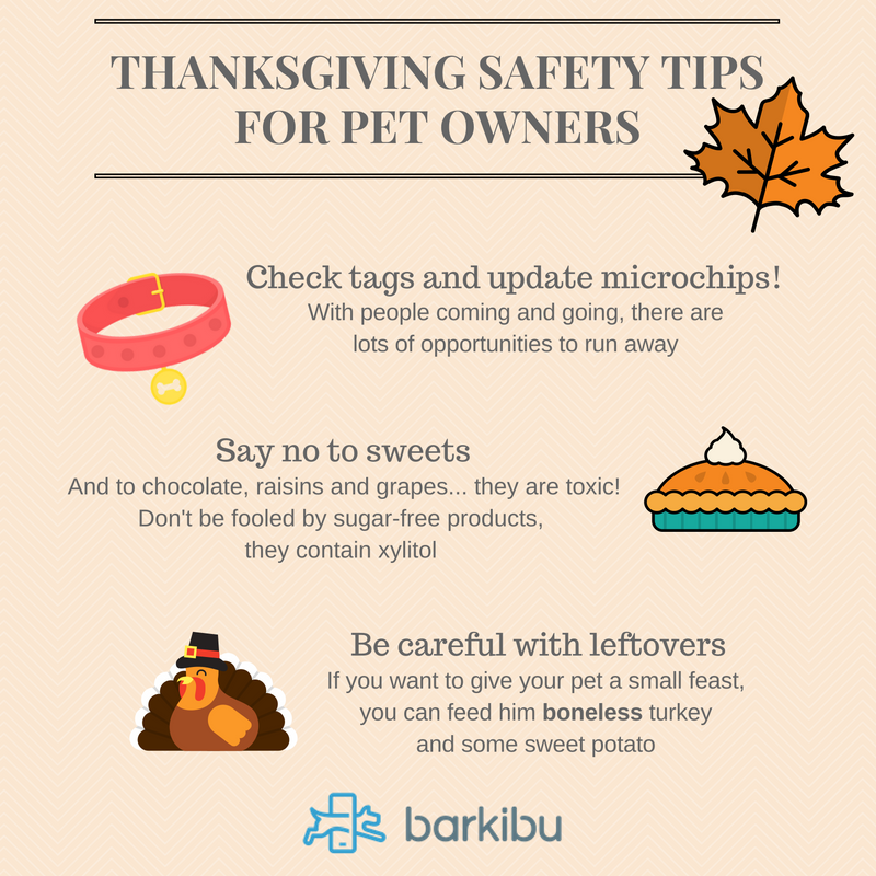 8-thanksgiving-safety-tips-for-pet-owners-barkibu-es